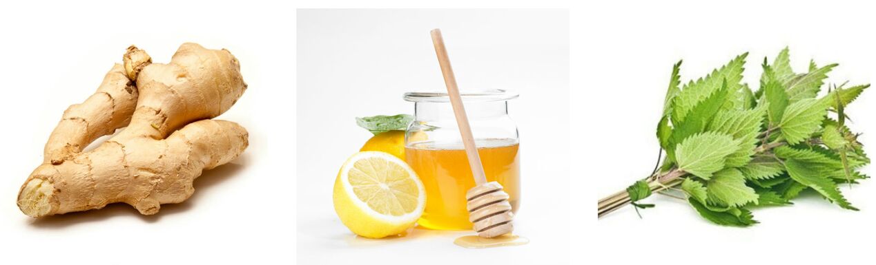 Honey Ortiga Ingwer